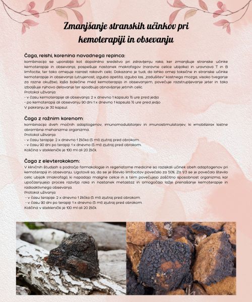 ZMANJŠEVANJE STRANSKIH UČINKOV PRI KEMOTERAPIJI IN OBSEVANJU (protokol sibirske fitomedicine)