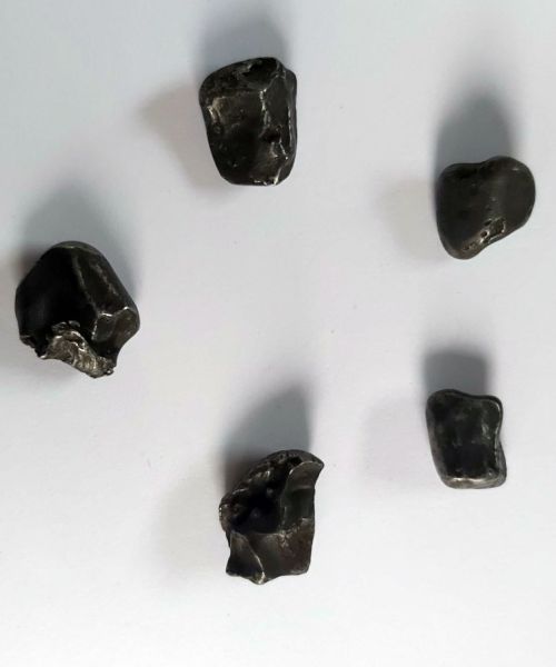 Meteorit Sihote Alin 8-11g