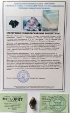 Meteorit Sihote Alin 10,26g