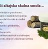 altajska smola